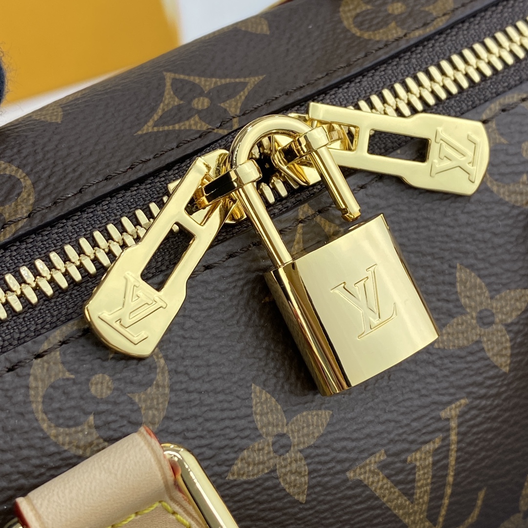 Louis Vuitton SPEEDY BANDOULIERE 20 Monogram Handbag M45957 